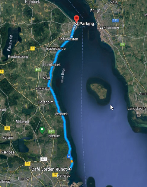 Rute