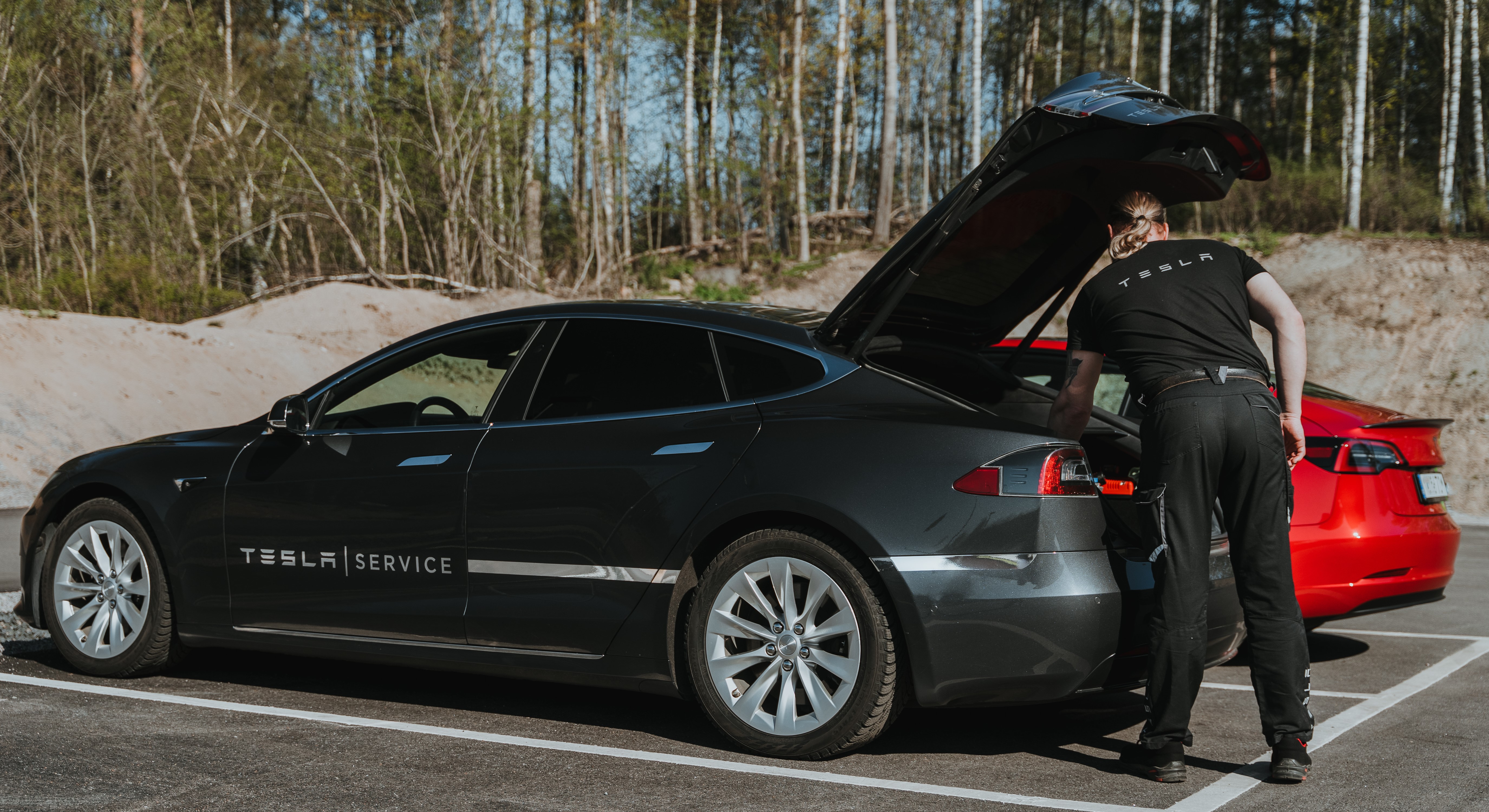 TeslaOwnersDenmark.dk