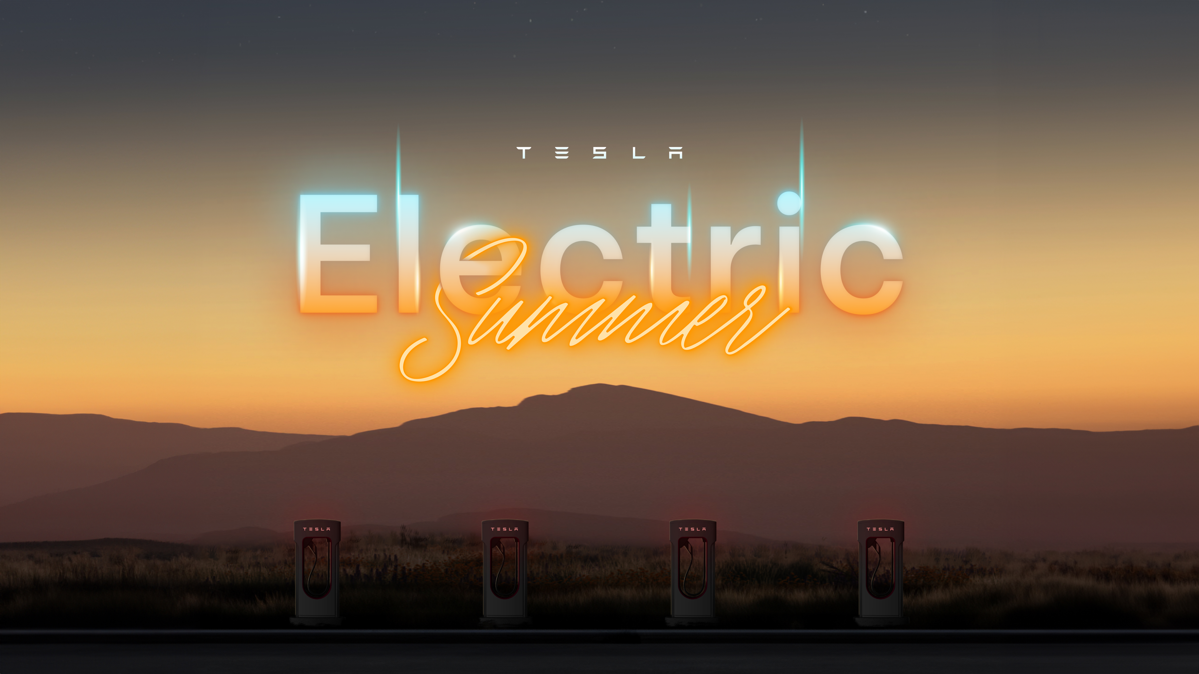 TeslaOwnersDenmark.dk